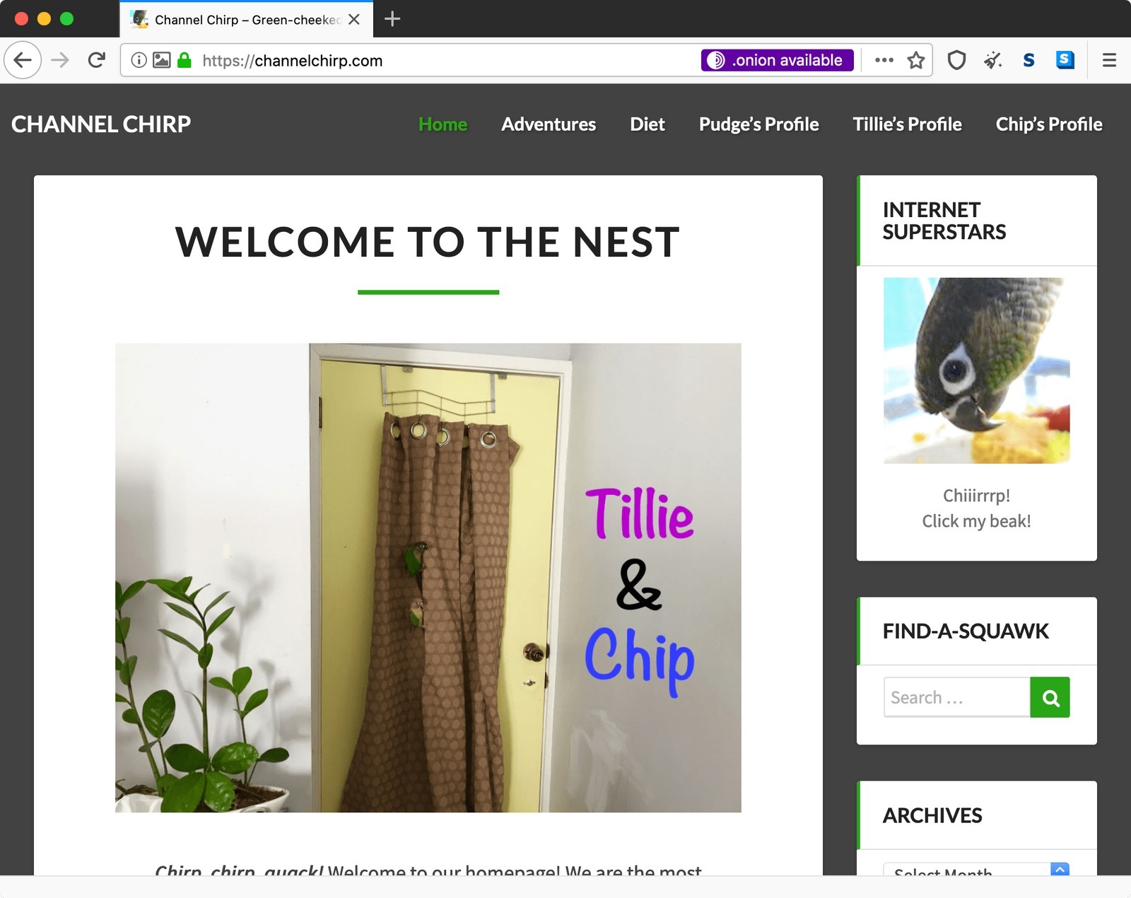 Onions, Great with All Websites!