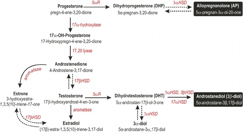 Progesterone Consumer Medicines Information (CMI)