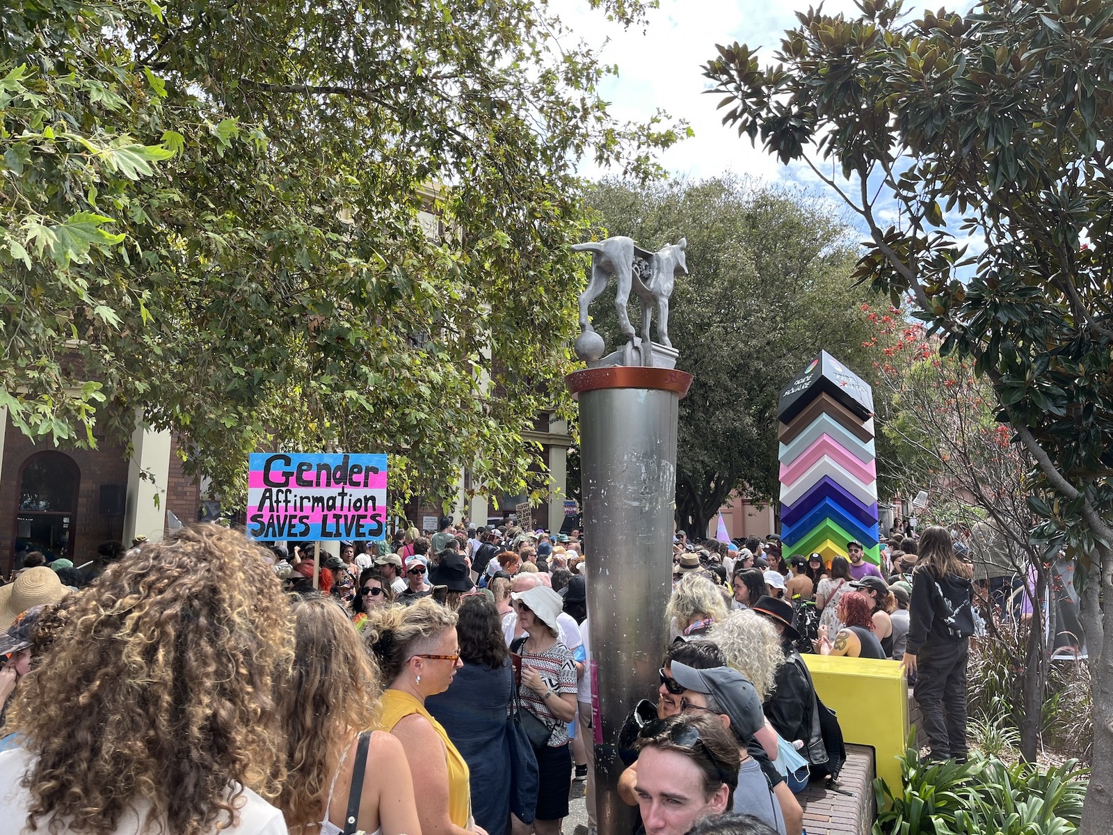 My First Rally - Trans Rights (Project 491)